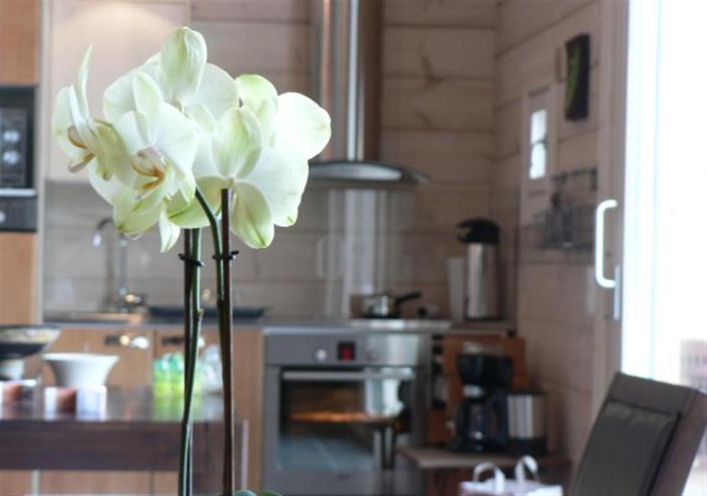 Koitelin Residenssi Villa เอาลู ภายนอก รูปภาพ